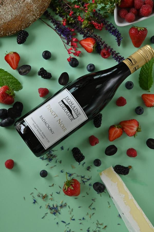 Domaine Edegger - Organic Winery Badacsony Aparthotel Badacsonytomaj Ngoại thất bức ảnh