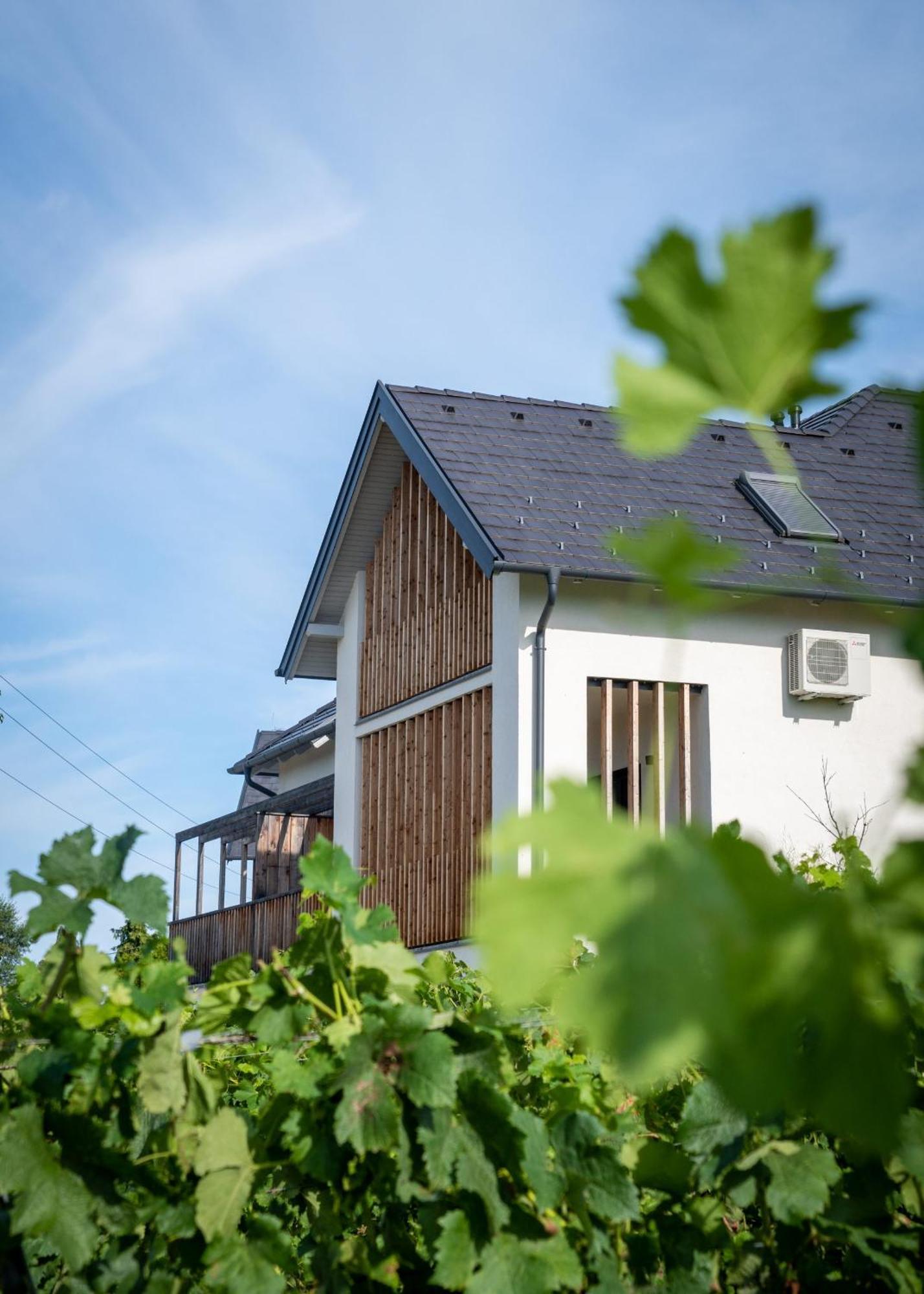 Domaine Edegger - Organic Winery Badacsony Aparthotel Badacsonytomaj Ngoại thất bức ảnh